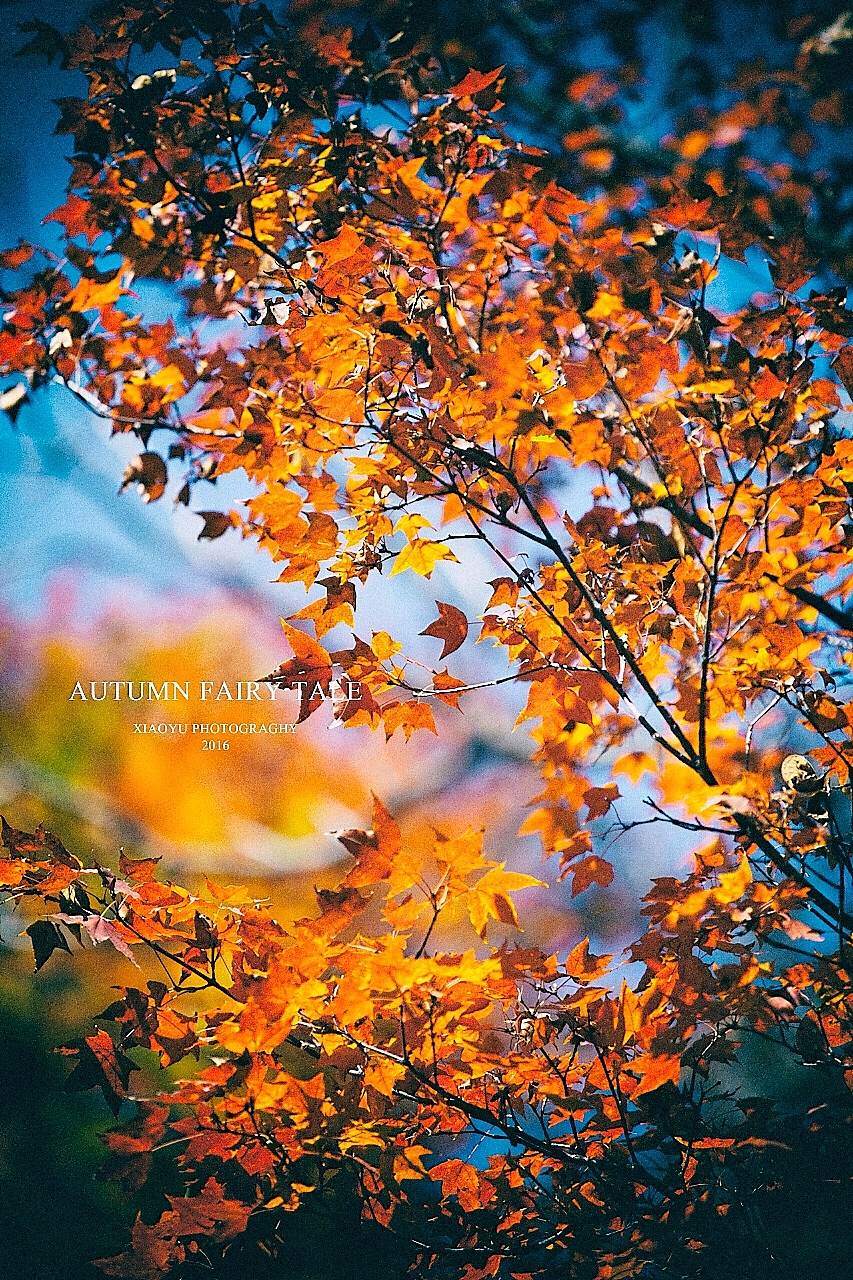 【20161005】避开人群是假期必修课