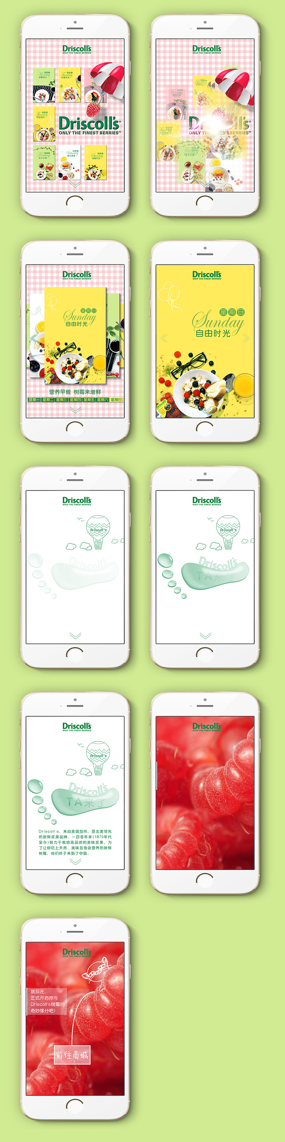 美国加州浆果品牌 Driscoll's树莓H5动效分镜设计（图ZNDgxNjY1MzI=） - APP界面 - 站酷设计师雨Fei门原创素材 - 站酷ZCOOL