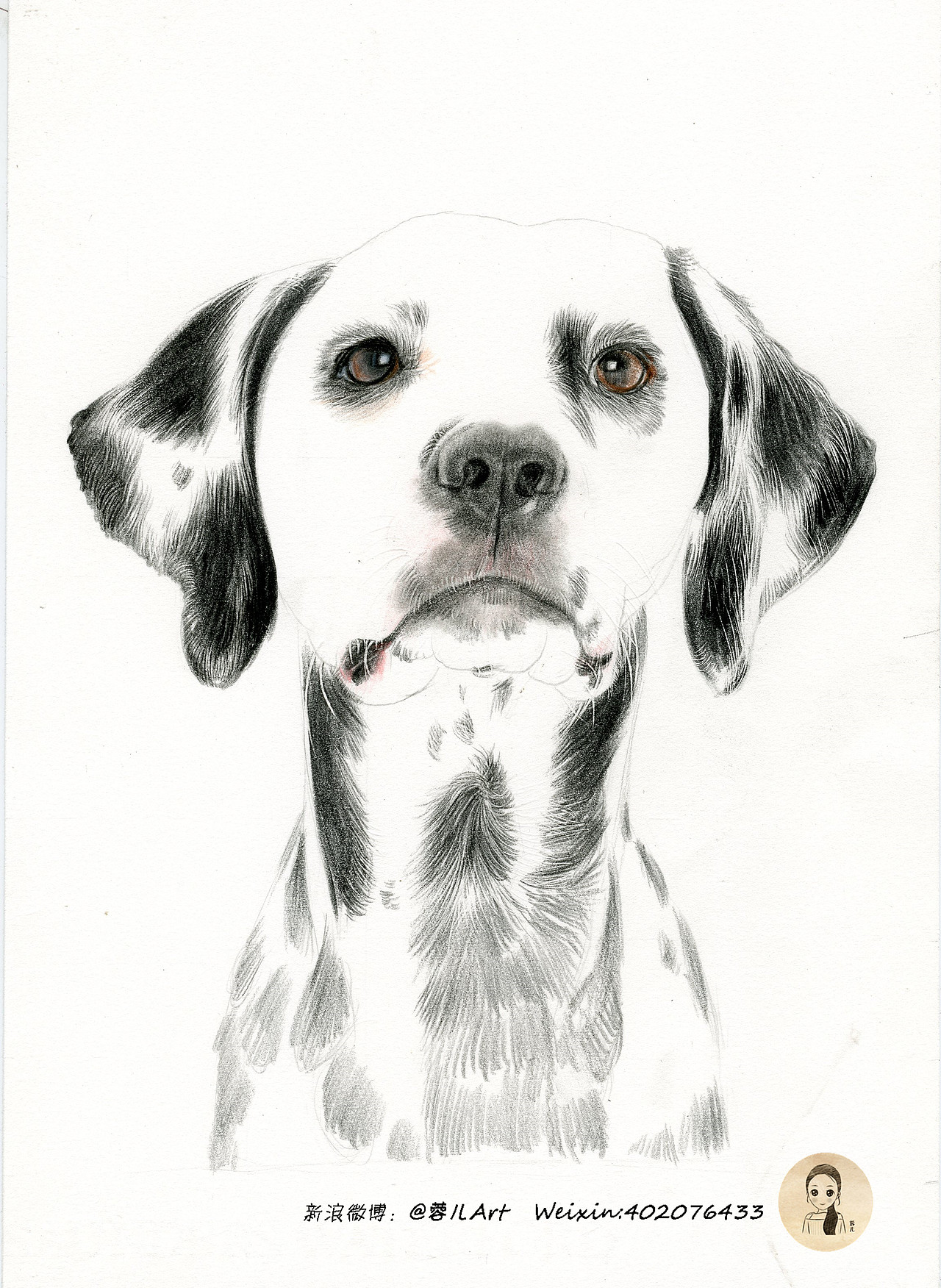 斑点狗彩铅动物