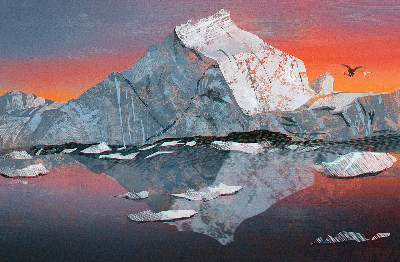 无牙仔的飞行日记