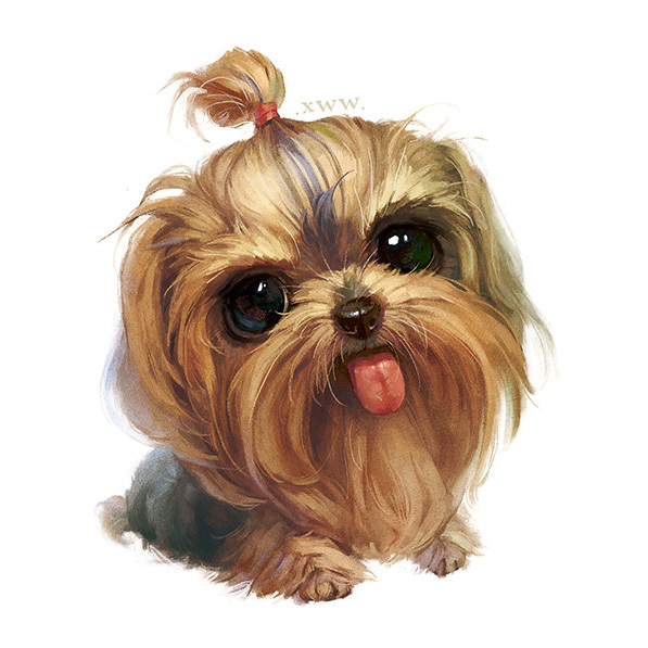 毛茸茸治愈——手绘可爱小动物