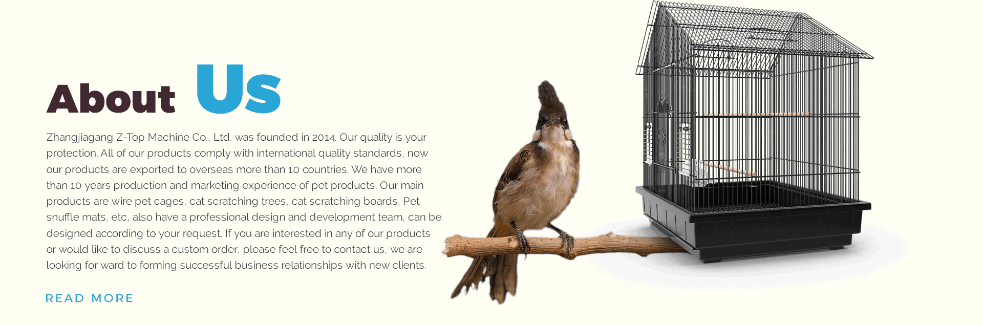 阿里国际站宠物用品首页（图ZMjYwNTkyOTE2） - 电商 - 站酷设计师Mollol原创素材 - 站酷ZCOOL