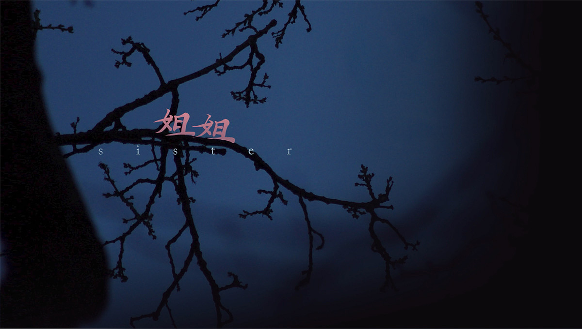 定格动画《姐姐》（图ZMjU2MzY2Mzg4） - 短片 - 站酷设计师kris思原创素材 - 站酷ZCOOL