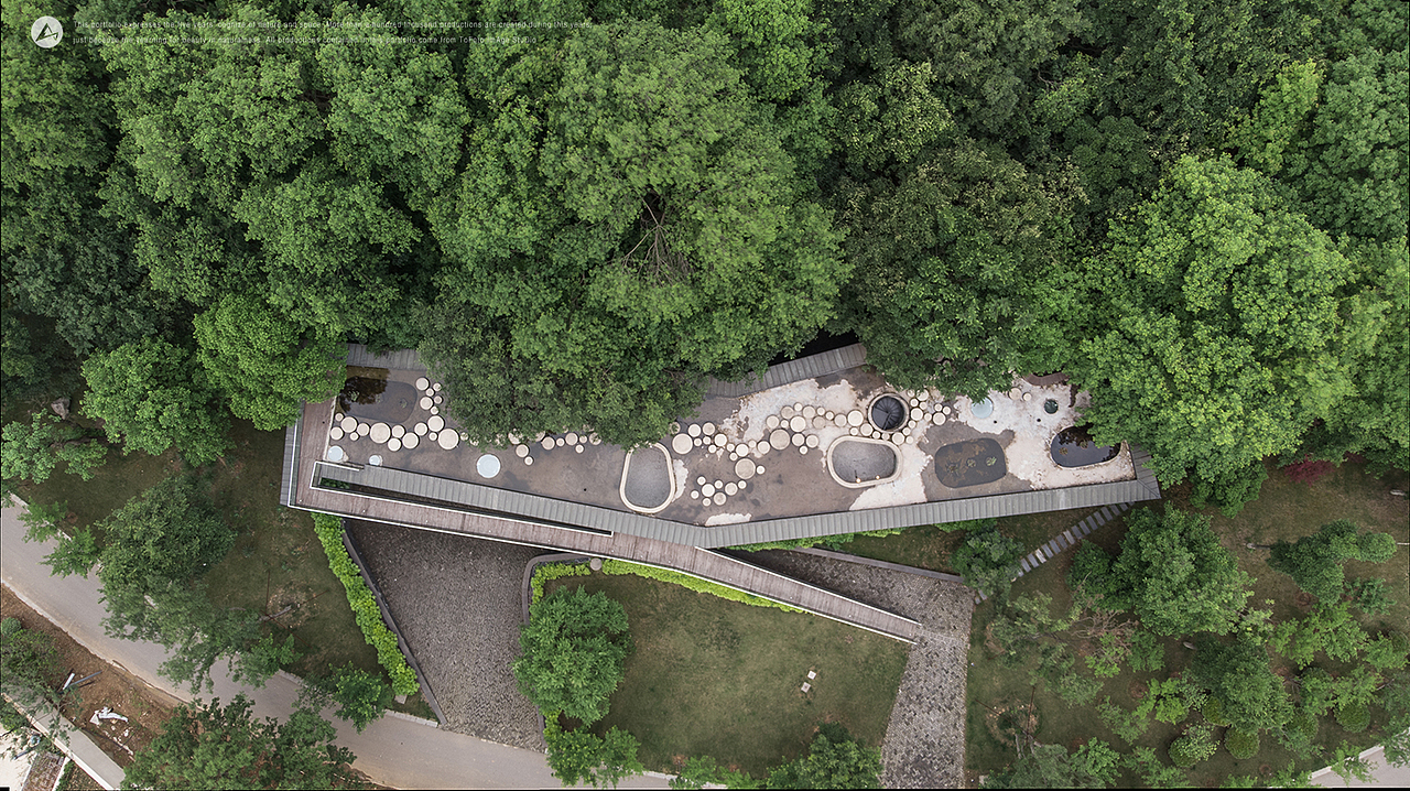 「建筑摄影」Water Lilies 睡莲