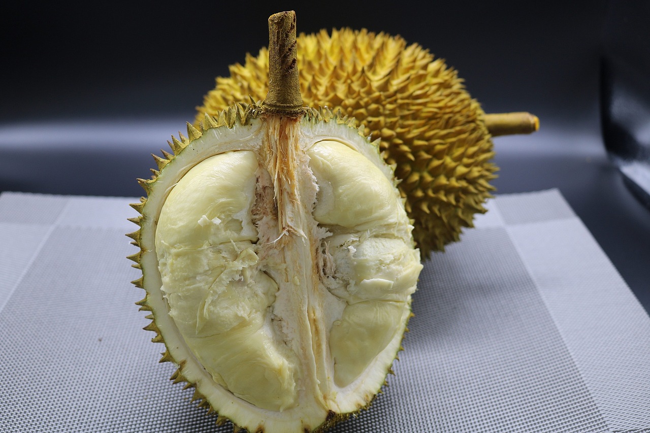 老男人果品老挝猫山王苦咖菲猫榴莲