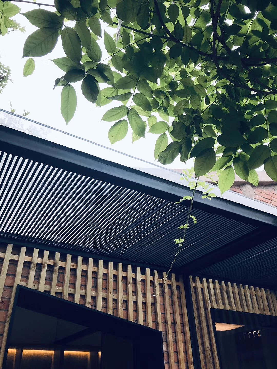 BOUNDARIES籬苑餐厅品牌形象设计