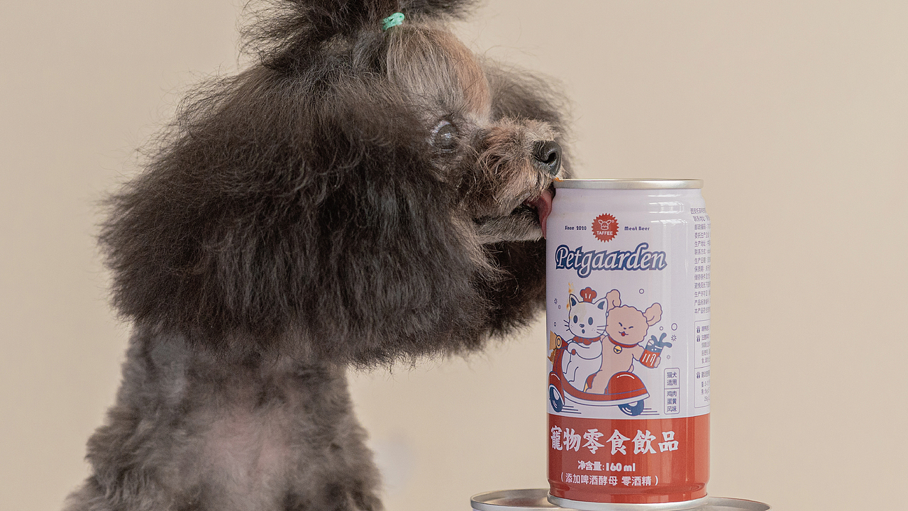 Taffex百威 宠物啤酒联名（图ZMjI5NzQ0NDIw） - 品牌 - 站酷设计师指尖造物品牌设计原创素材 - 站酷ZCOOL
