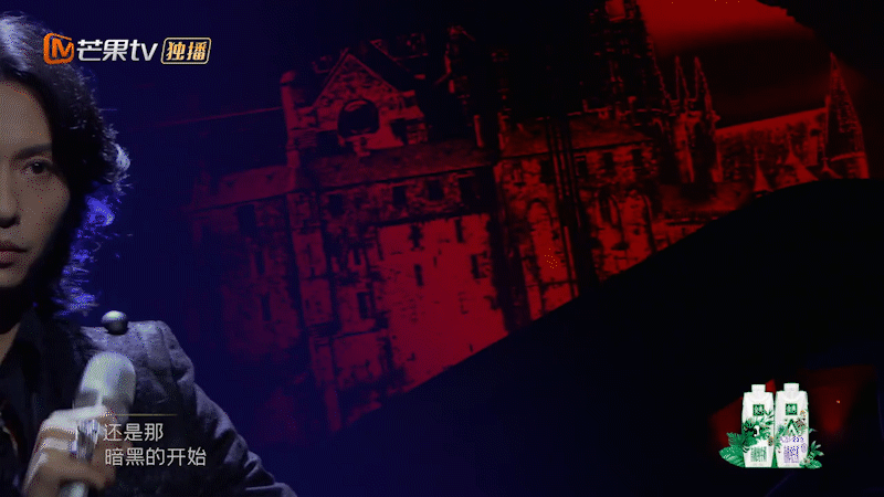 「披荆斩棘的哥哥」家族诞生夜视觉方案