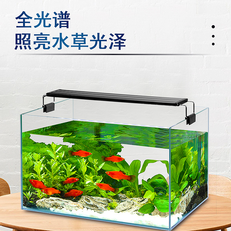 科技感鱼灯详情页与主图（图ZMjYzMjE0MTQ0） - 电商 - 站酷设计师黄大只原创素材 - 站酷ZCOOL