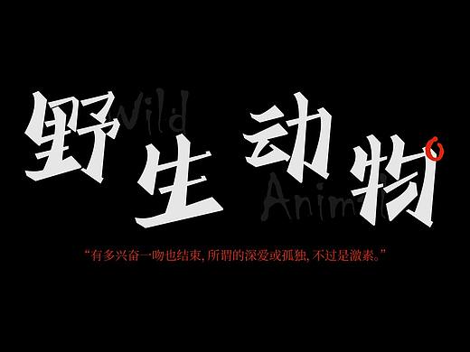 字体设计