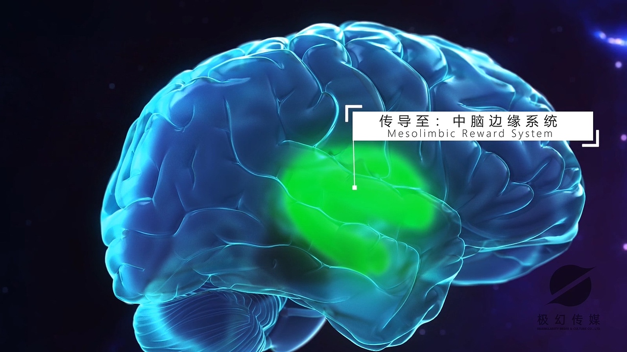 鱼跃医疗三维动画