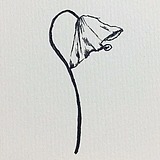 自成风月的头像