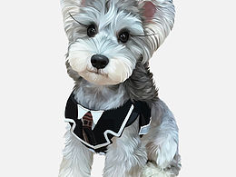 宠物插画｜宠物周边