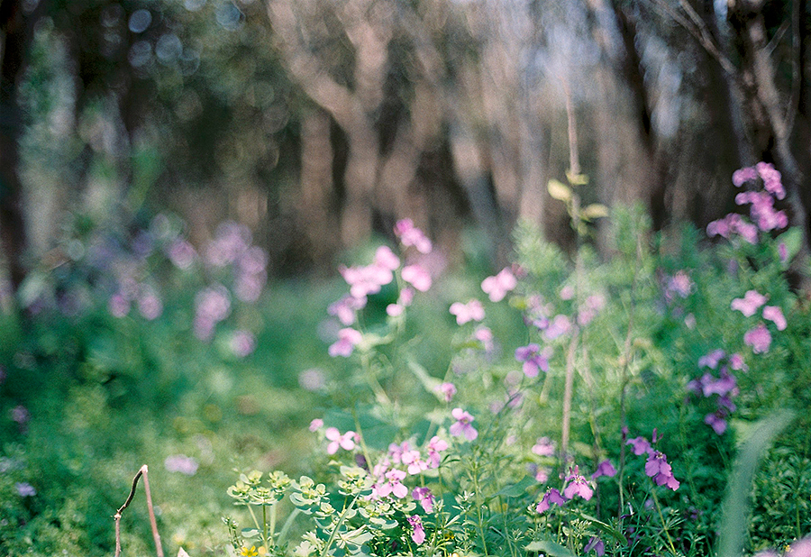 只为记录，不为胜利（图ZMjQ1NTE1OTI=） - 人文/纪实摄影 - 站酷设计师觉纪原创素材 - 站酷ZCOOL