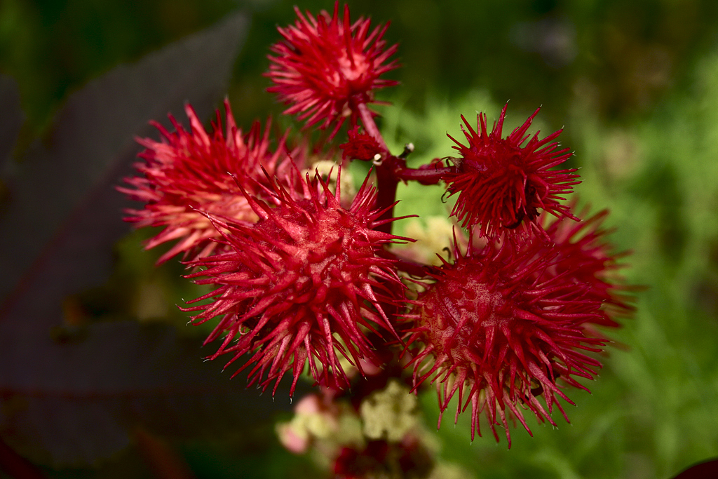 不知道了,知道的告诉我
