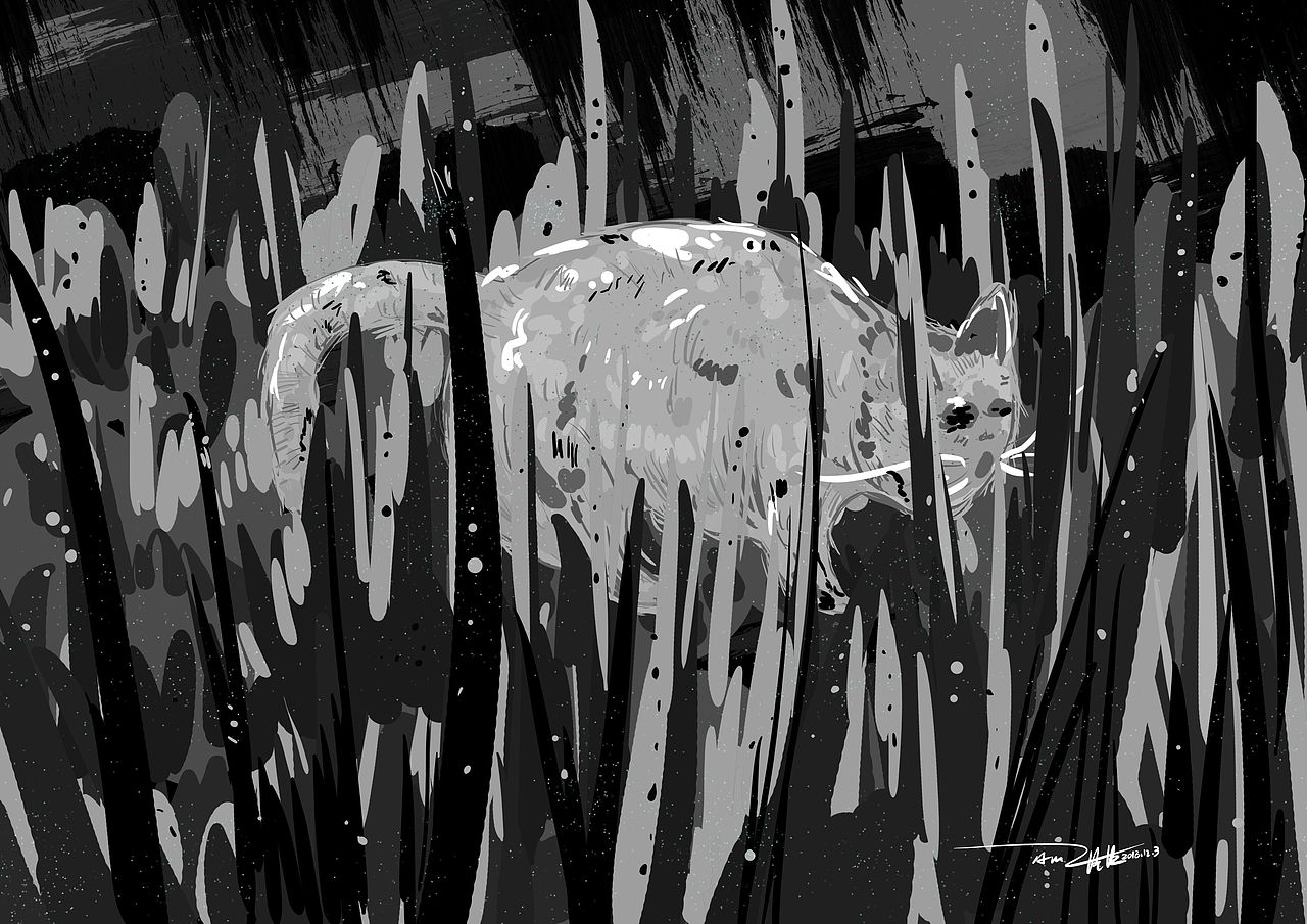 发现一只拉粑粑的猫咪