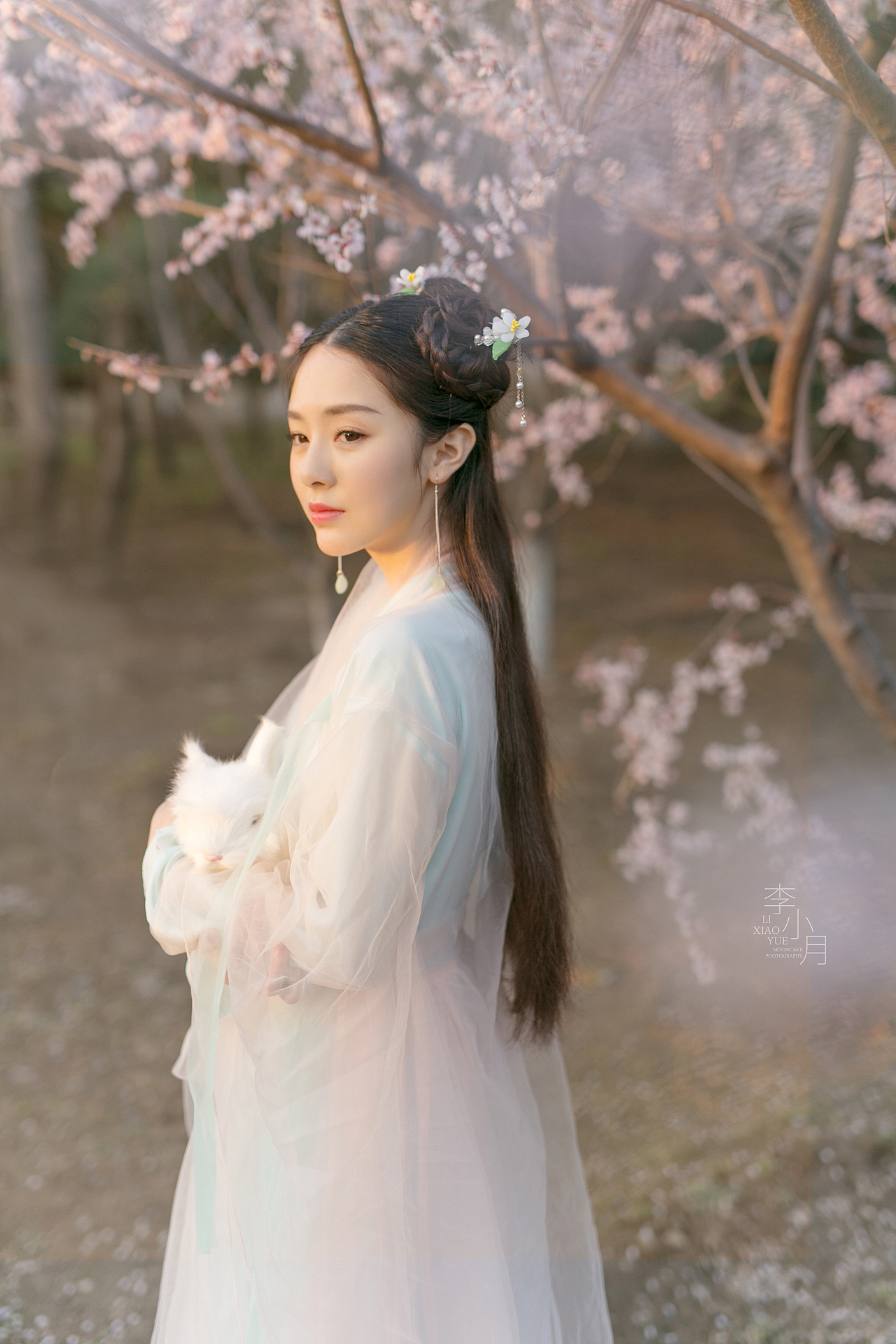 三生三世十里桃花