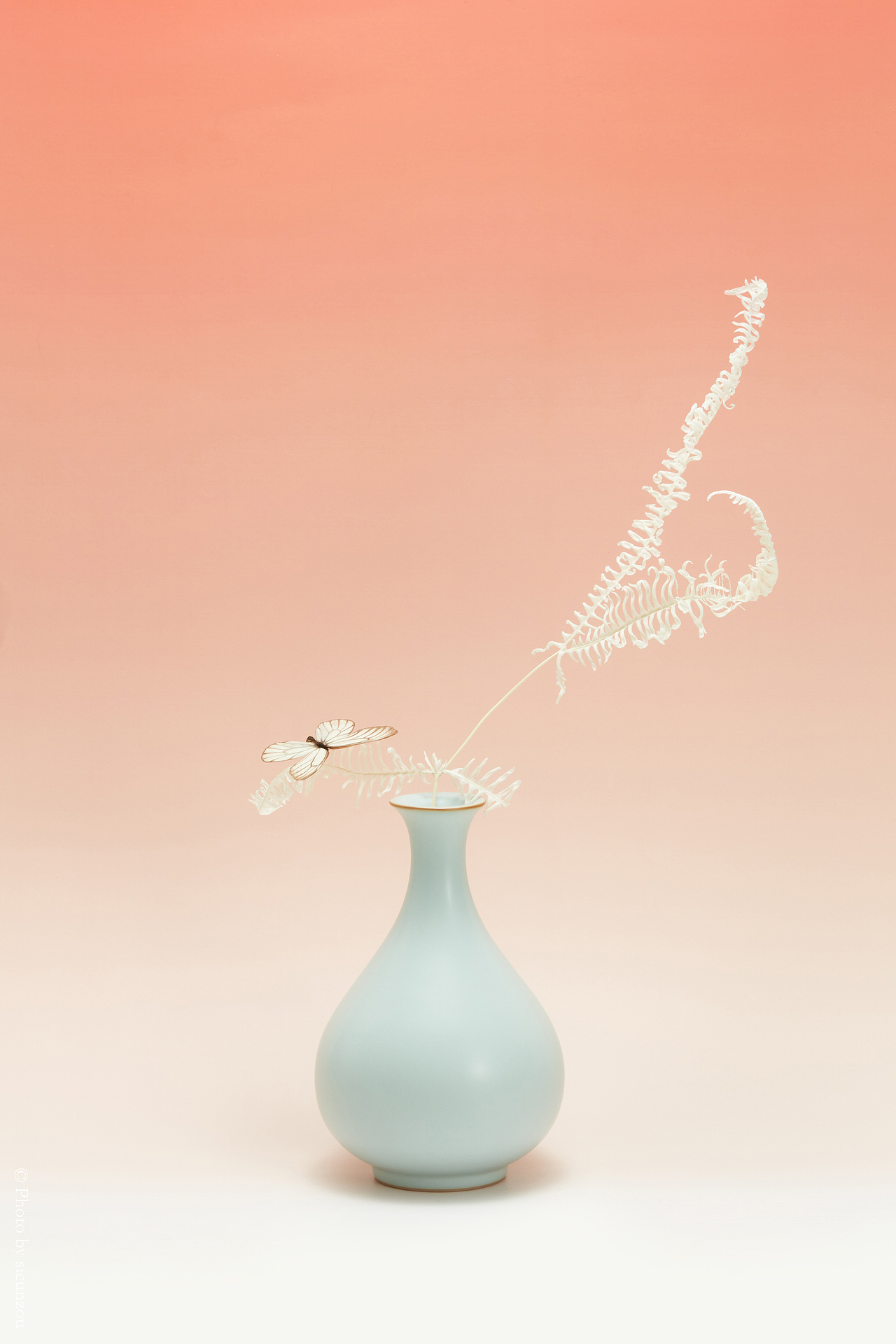 汝瓷拍摄（图ZMjc5NTY0NDQ0） - 产品摄影 - 站酷设计师scunz原创素材 - 站酷ZCOOL
