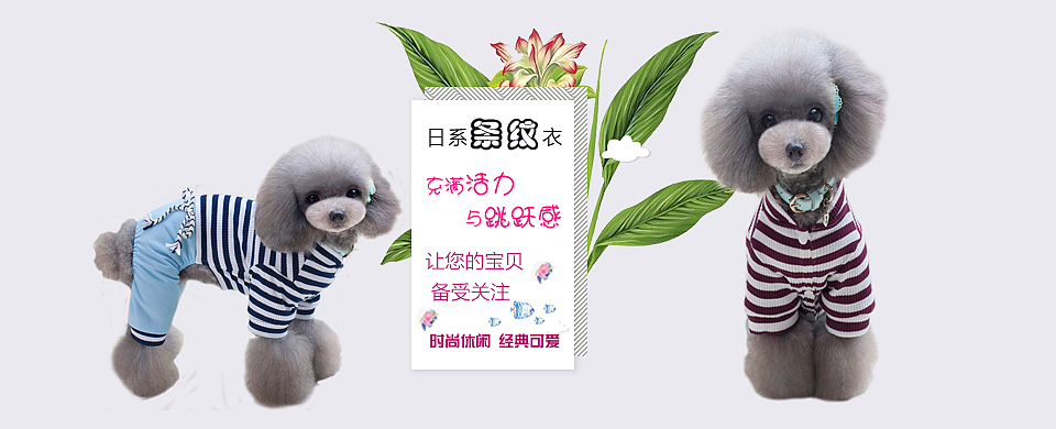 banner（图ZODg5NDQxMDQ=） - 其他UI - 站酷设计师刘珊珊网页设计师原创素材 - 站酷ZCOOL