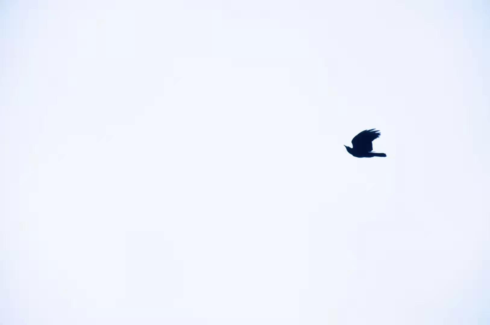 licuay的個人主頁（背景預(yù)覽） - 主頁背景設(shè)置 - 站酷設(shè)計師licuay原創(chuàng)素材 - 站酷ZCOOL