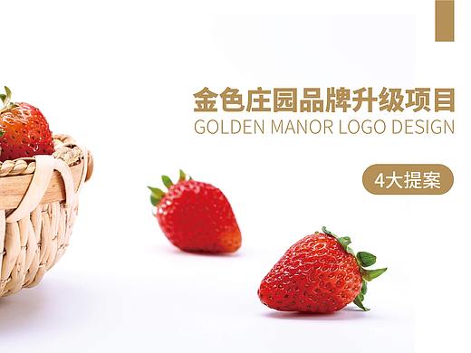一份价值20万LOGO提案