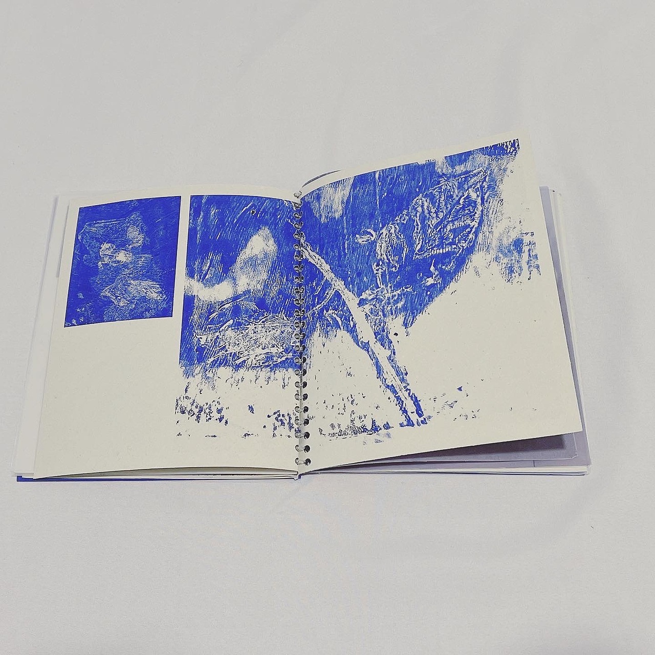 手工书 GLASGOW GARDEN（图ZMjk5NjQzNDYw） - 书籍/画册 - 站酷设计师抹茶小豆腐原创素材 - 站酷ZCOOL