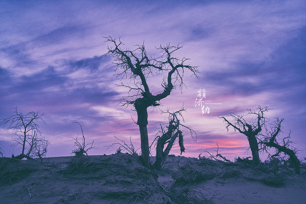 西出阳关 北过居延 行之万里（图ZMzkxODEzMTY=） - 风光摄影 - 站酷设计师晓若xiaoruo原创素材 - 站酷ZCOOL