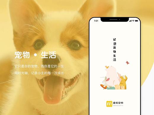 宠物生活记录App