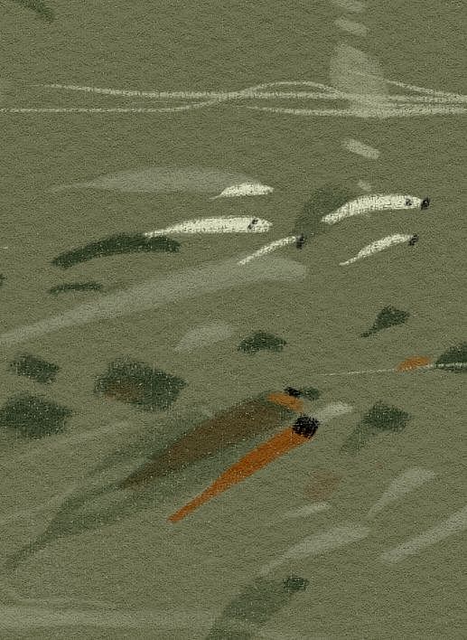 遇到一条鱼（图ZMzQ3MzUxMTEy） - 绘本 - 站酷设计师绿肥肥原创素材 - 站酷ZCOOL