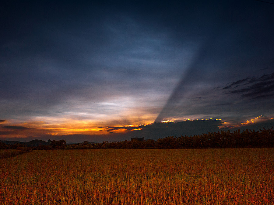 稻田成熟时期（图ZNjAxNDA1NDQ=） - 风光摄影 - 站酷设计师janction原创素材 - 站酷ZCOOL