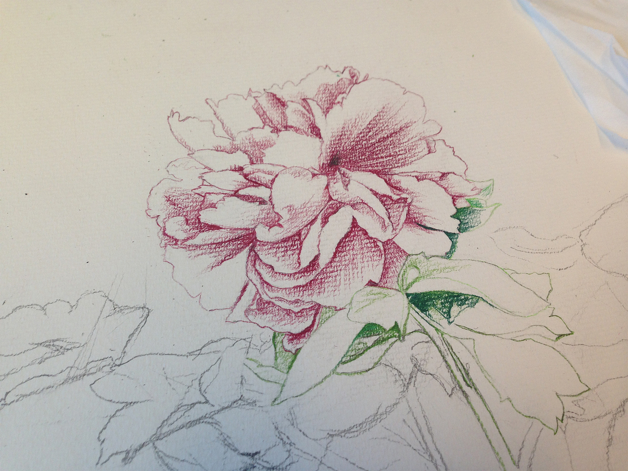 受光线影响,拍出来的色调都不太一样。