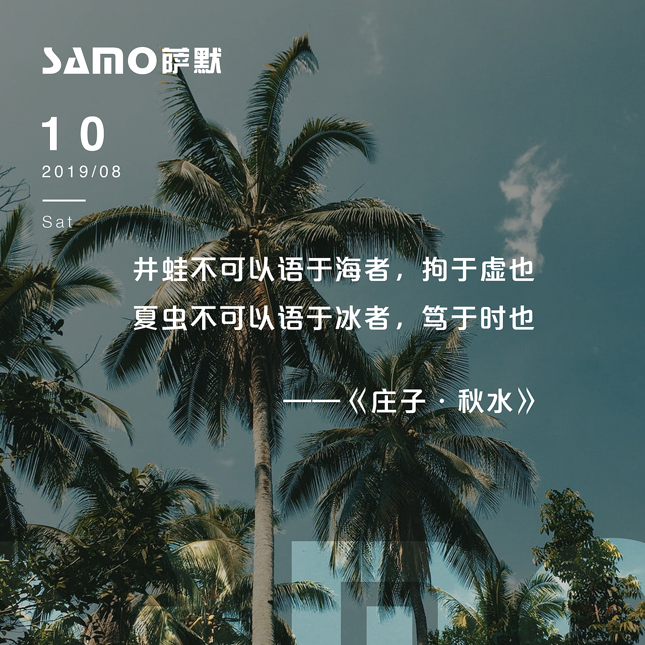 每日一签（图ZMTcyNjc4NjA4） - 海报 - 站酷设计师萌张妃原创素材 - 站酷ZCOOL