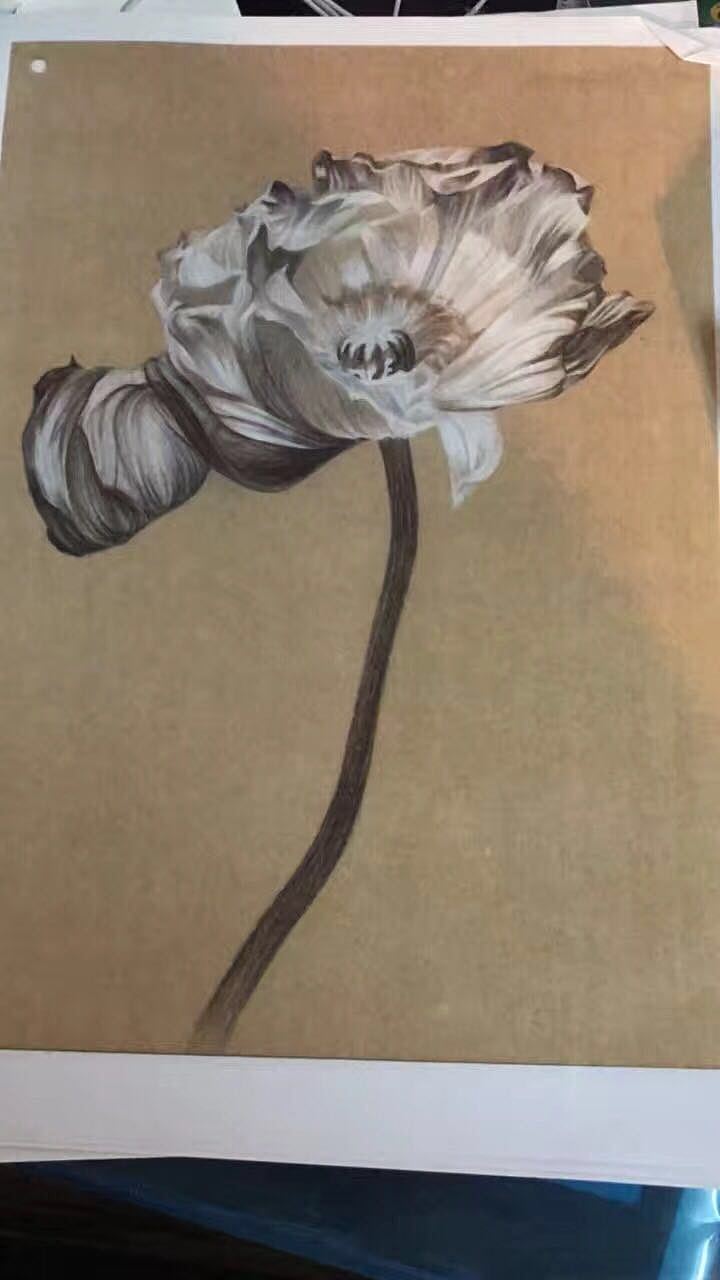 纸质手绘系列（图ZMjAzNTQyMzE2） - 创作习作 - 站酷设计师zjoycez原创素材 - 站酷ZCOOL