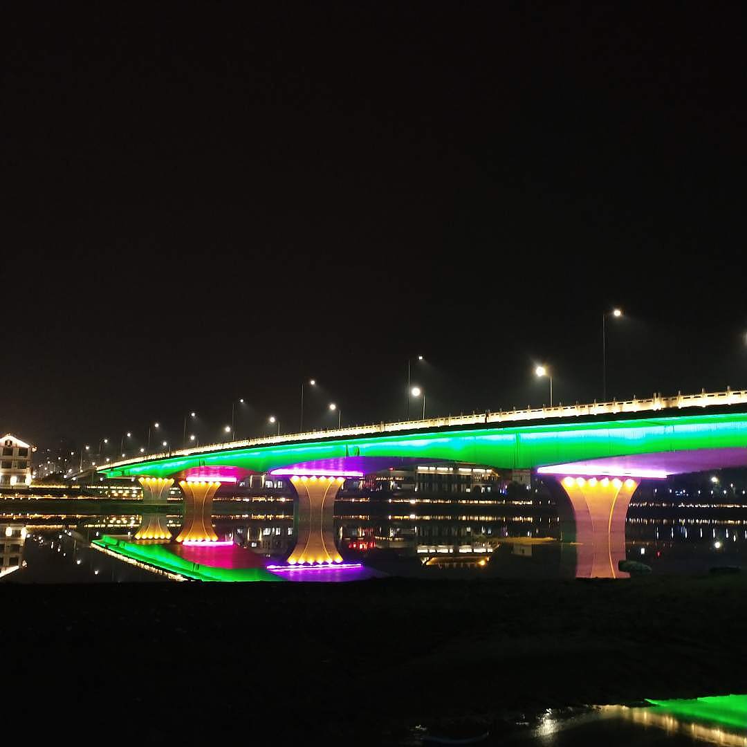 杂图 风景 绿植 夜景