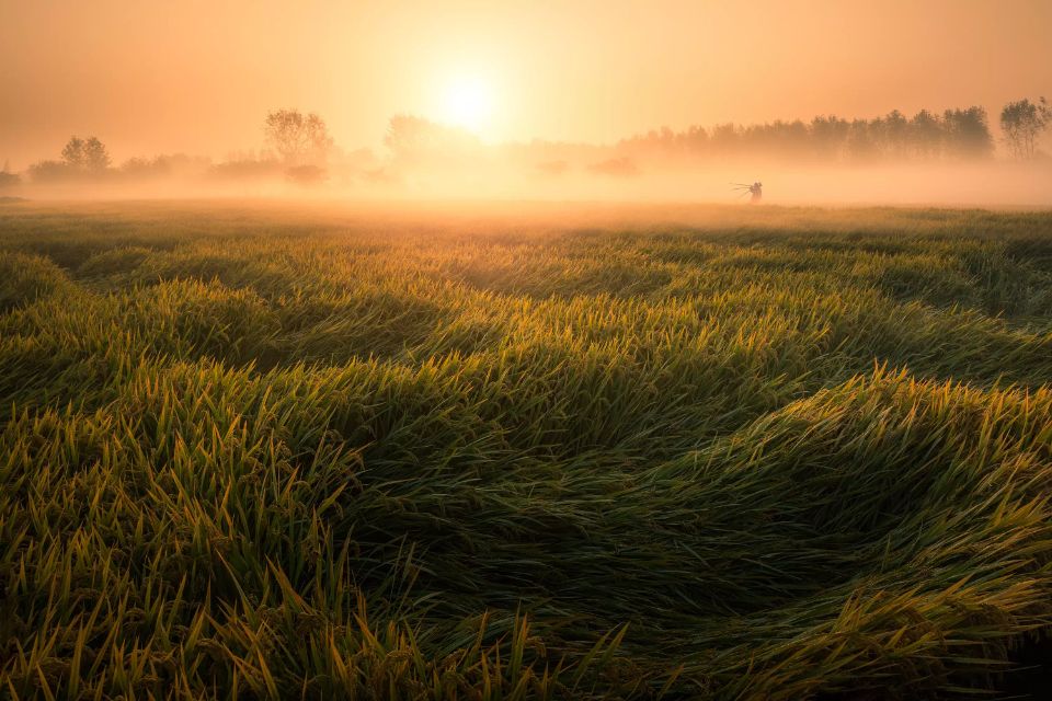 白日梦想家2012的个人主页（封面预览） - 主页封面设置 - 站酷设计师白日梦想家2012原创素材 - 站酷ZCOOL