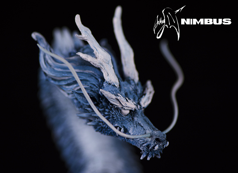 无须缺爪何以称龙?