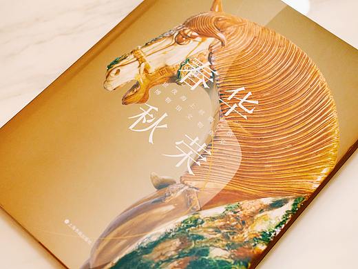 书籍封面设计丨吹灭读书灯,一身都是月01