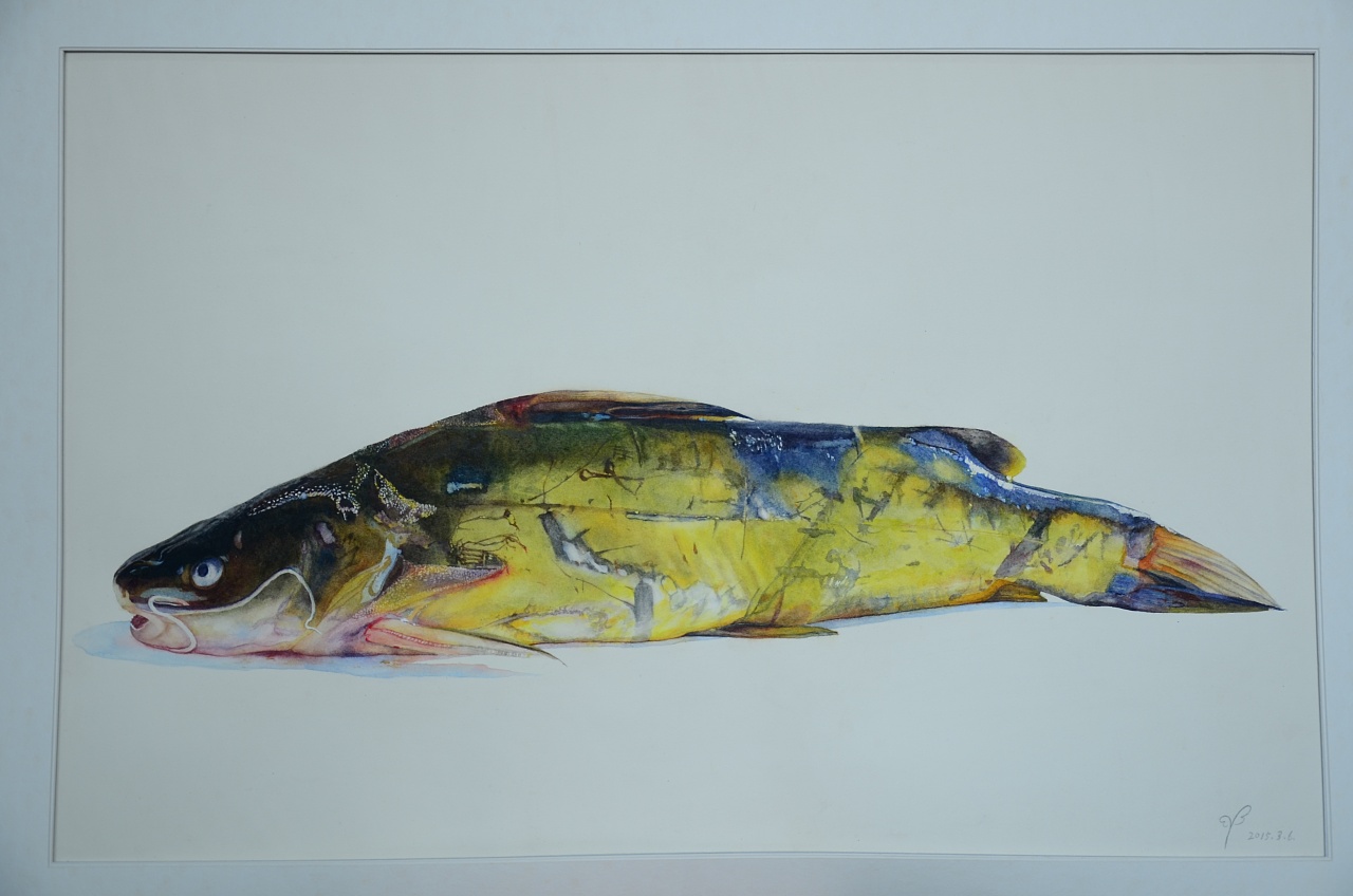 达芬奇的画小狗鱼图片