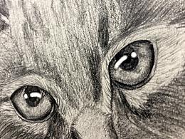 素描猫