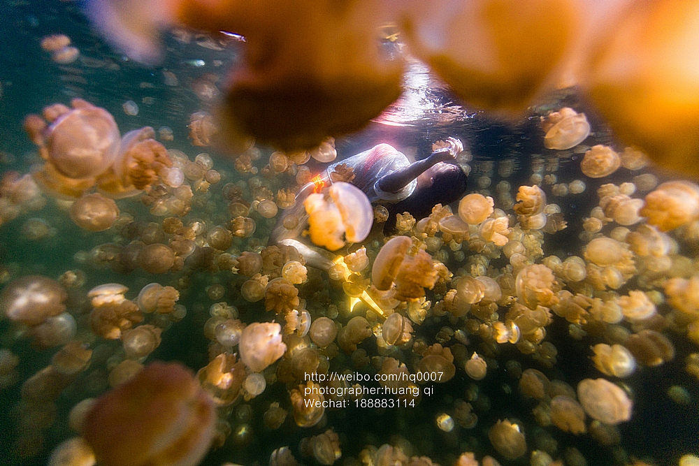 水下摄影（图ZNDUxNTY2Mjg=） - 人像摄影 - 站酷设计师摄影师黄棋原创素材 - 站酷ZCOOL