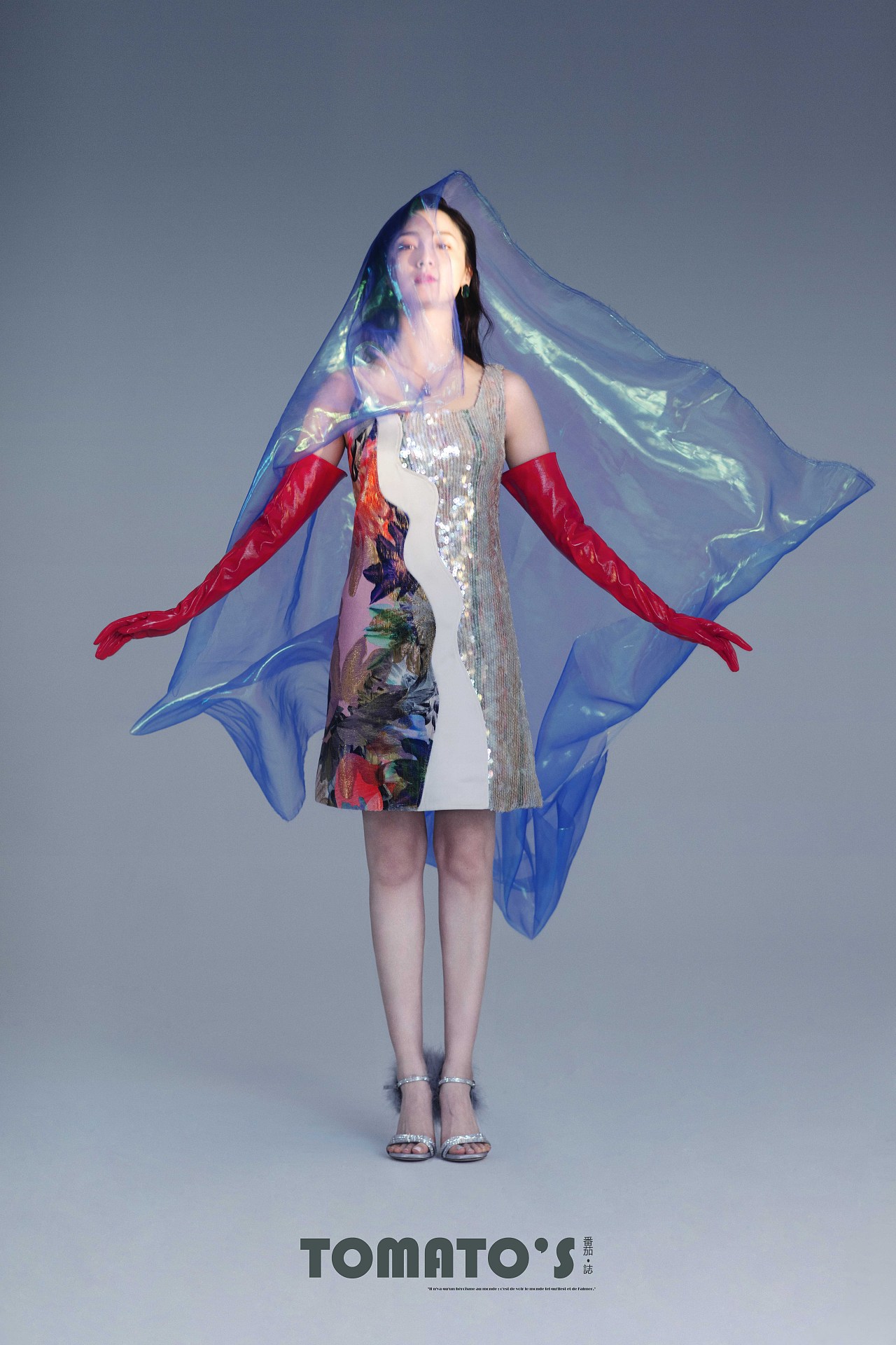 tomatos &艺人:叶青