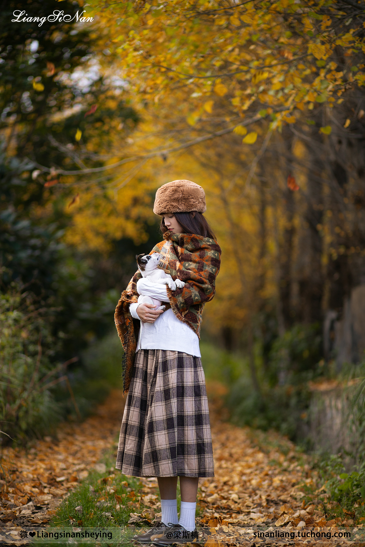 寄给你这片小小的银杏叶,它什么也不暗示,因为秋天了