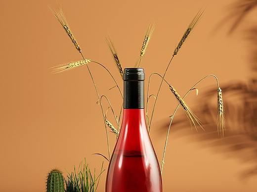 酒瓶类上材质打光练习