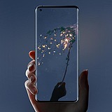 冰泪紫陌的头像