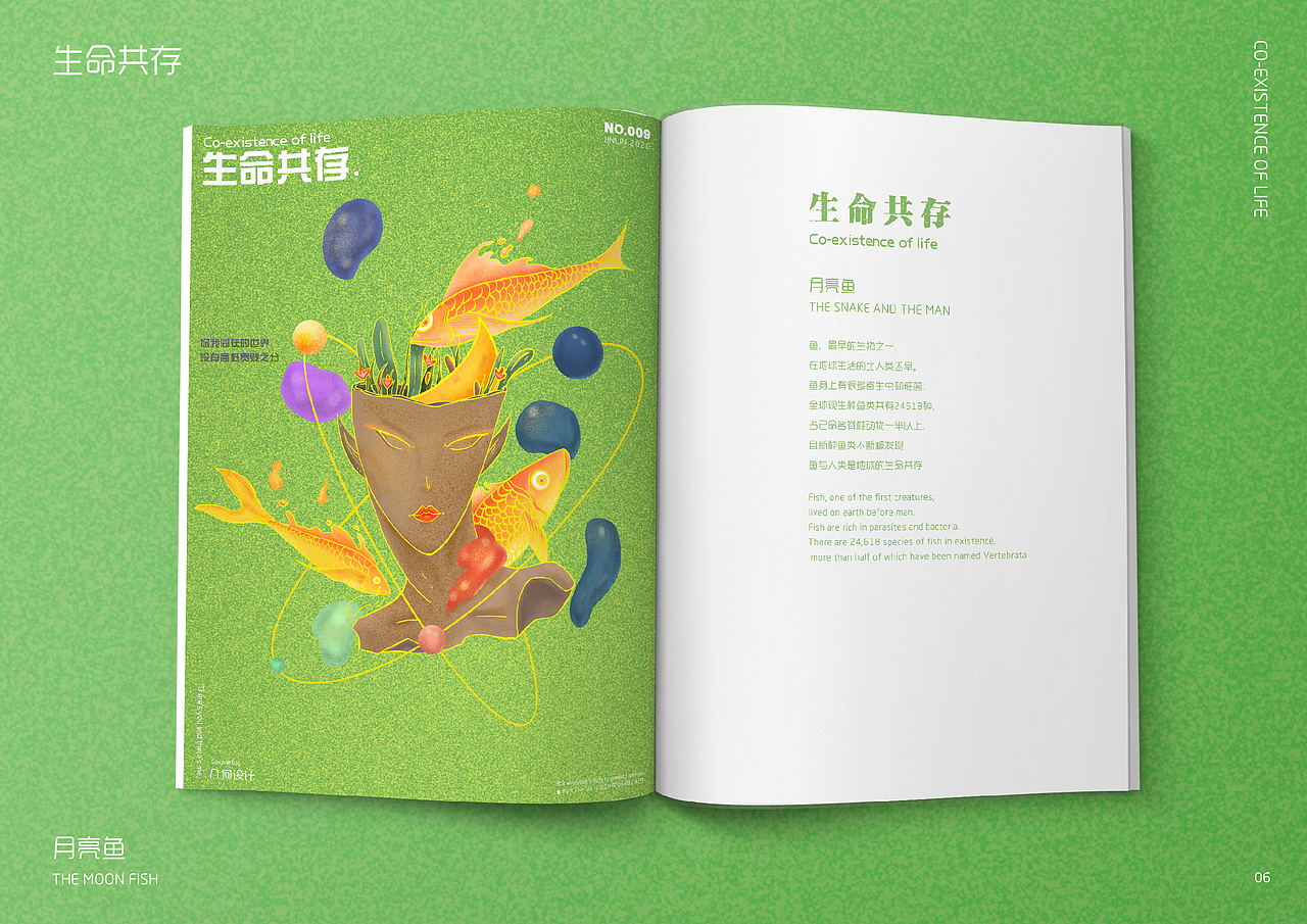 生命共存——月亮鱼