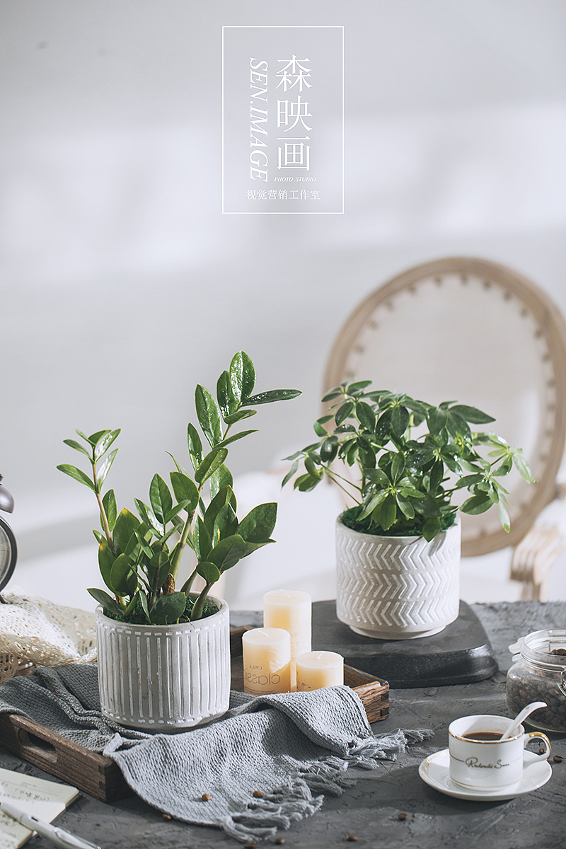 复古水泥盆绿植（图ZMjUzNTc5Njg0） - 产品摄影 - 站酷设计师森映画商业摄影原创素材 - 站酷ZCOOL