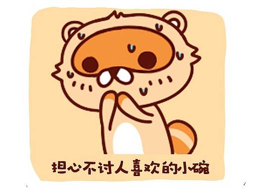 《浣熊小碗》动态表情包