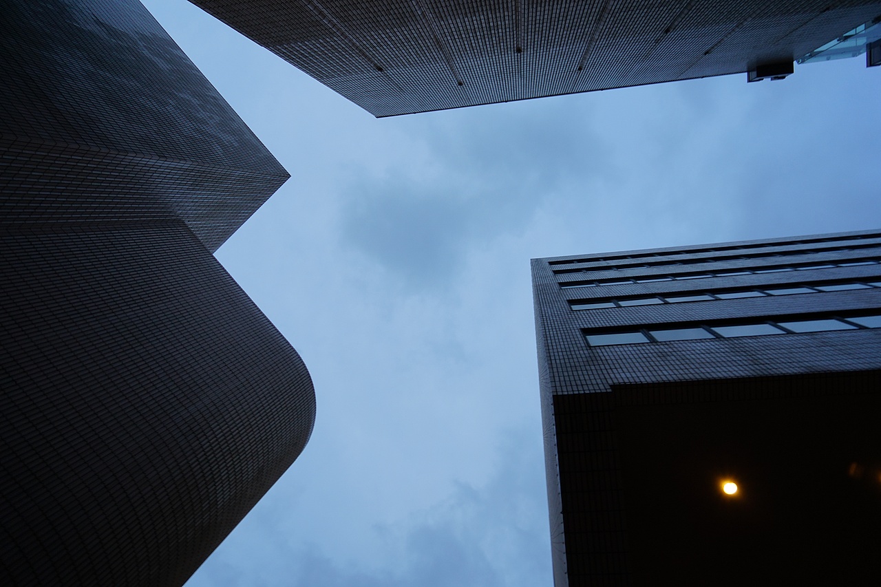 【2017·记录生活】香港紫金花公园