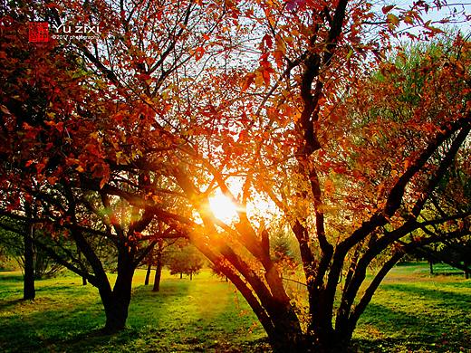 中国最美的异域风情旅游度假胜地哈尔滨伏尔加庄园
