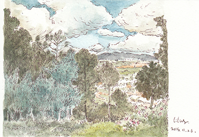 Picture